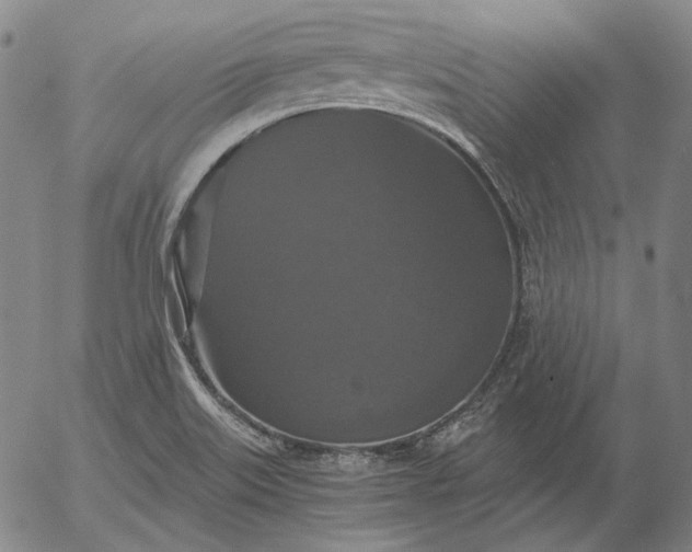 X0000056001515200509021651