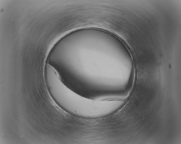 X0000056001516200509021651