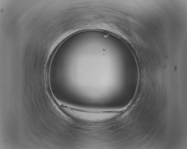 X0000056001517200509021651