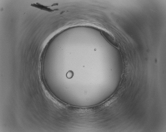 X0000056001518200509021651