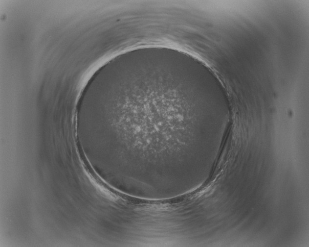 X0000056001519200509021651