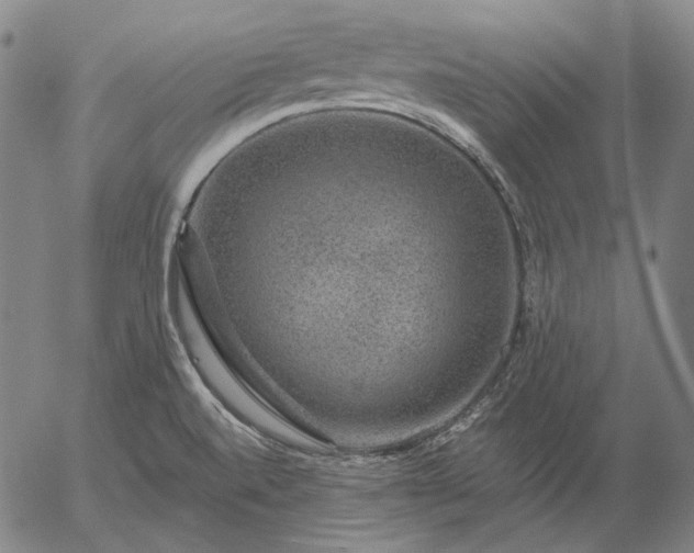 X0000056001520200509021651