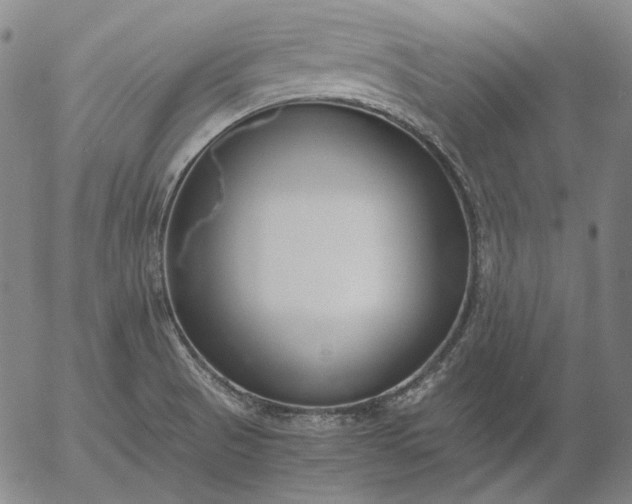 X0000056001521200509021651