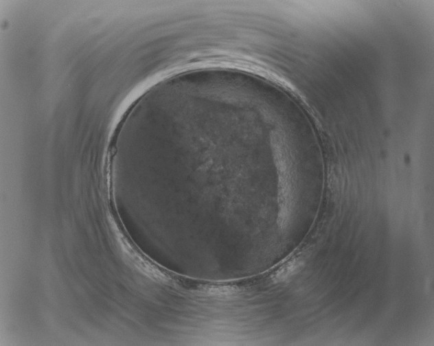 X0000056001522200509021651