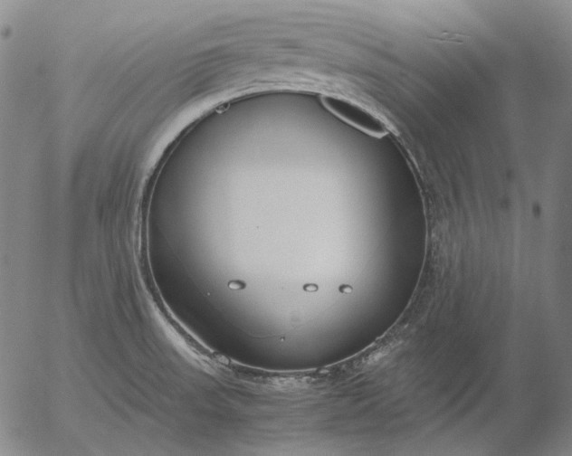 X0000056001523200509021651