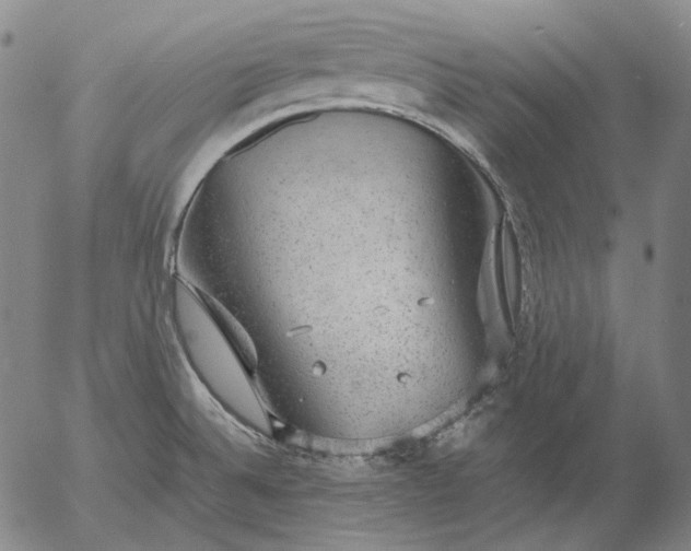 X0000056001524200509021651