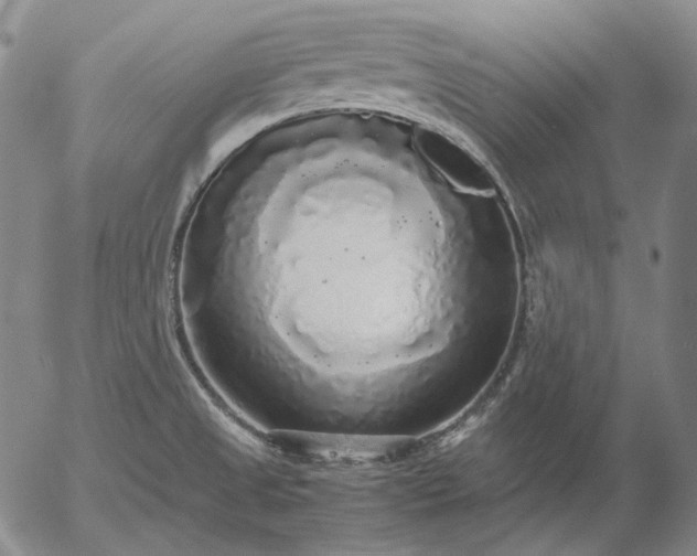 X0000056001525200509021651