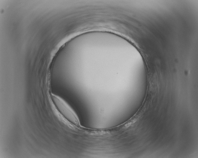 X0000056001526200509021651