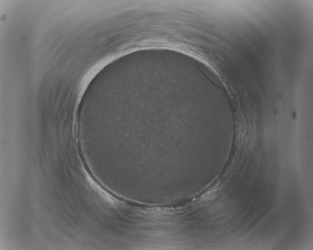 X0000056001527200509021651