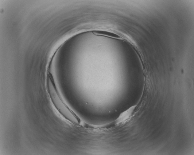 X0000056001528200509021651