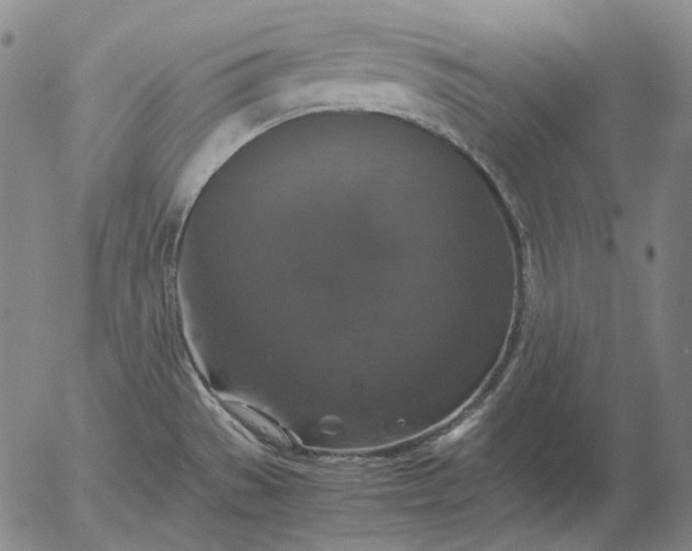 X0000056001529200509021651