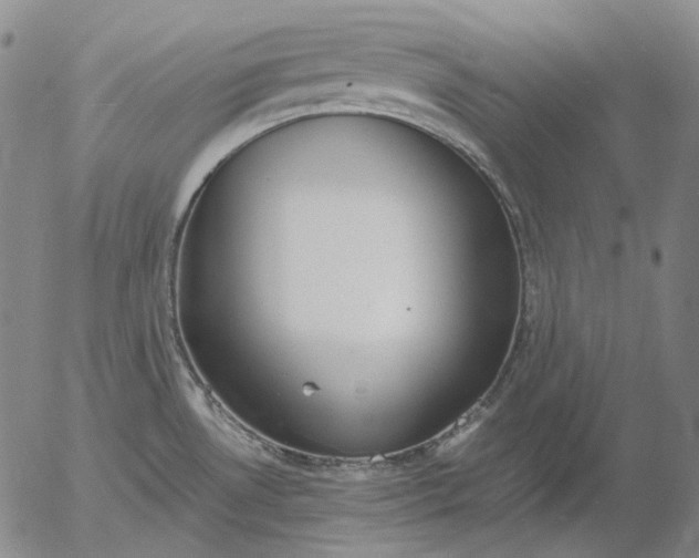 X0000056001530200509021651