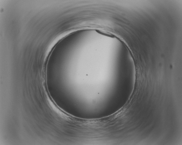 X0000056001531200509021651