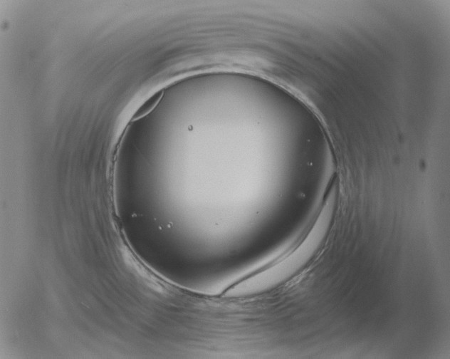 X0000056001532200509021651