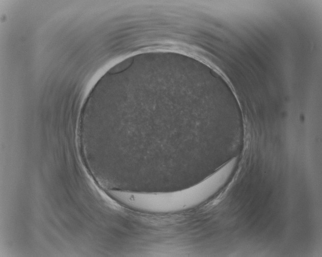 X0000056001533200509021651