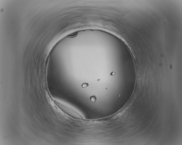 X0000056001534200509021651