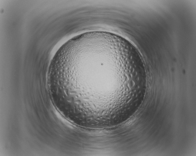 X0000056001535200509021651