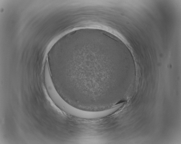 X0000056001536200509021651