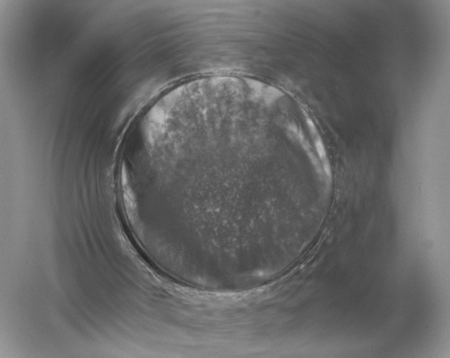 X0000056000002200509092058