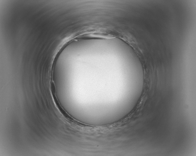 X0000056000003200509092058