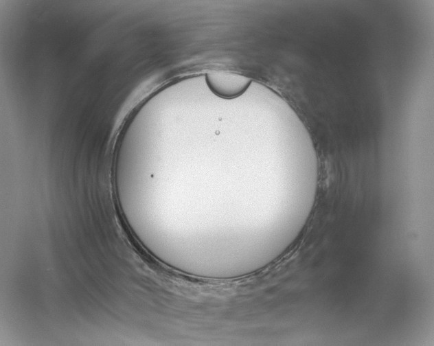 X0000056000004200509092058