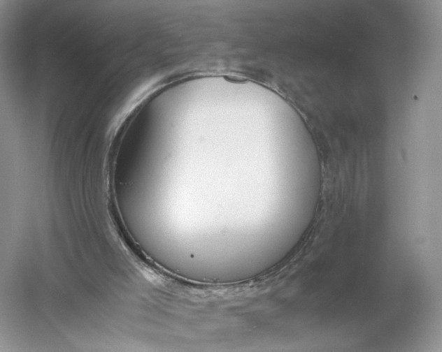 X0000056000005200509092058