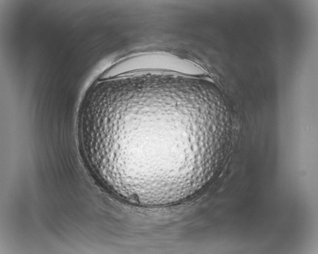 X0000056000006200509092058