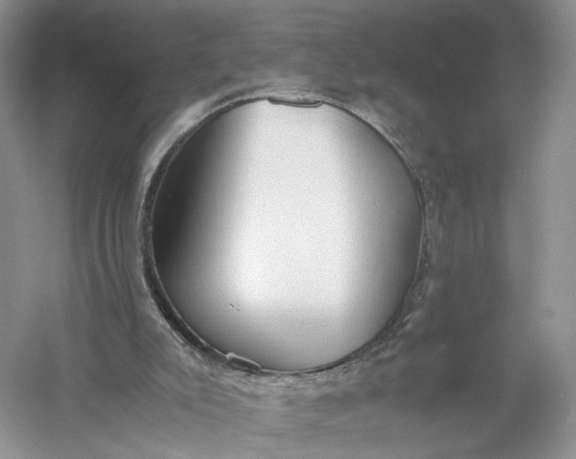 X0000056000007200509092058