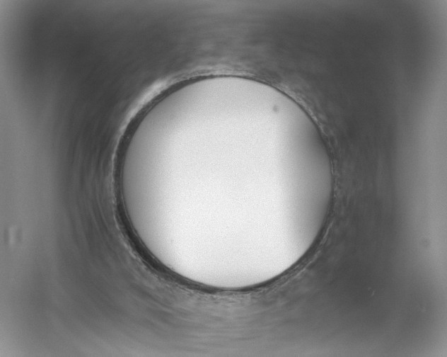 X0000056000008200509092058