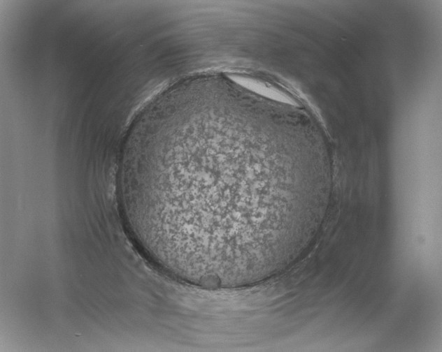 X0000056000010200509092058