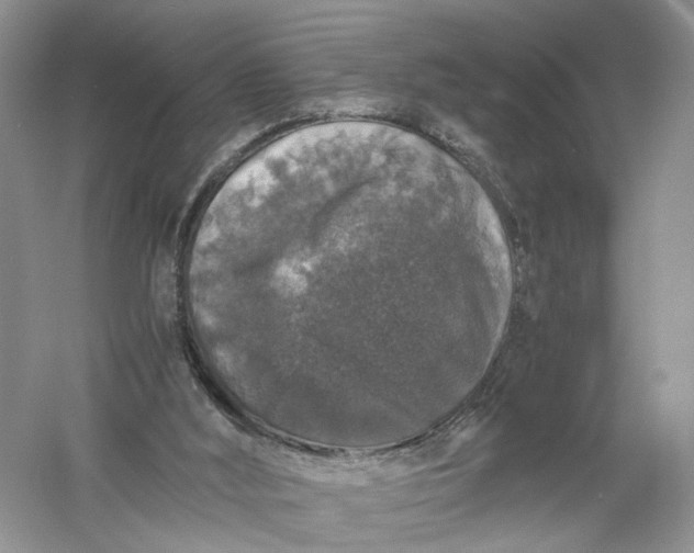 X0000056000012200509092058