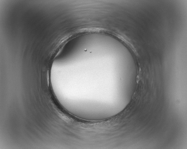 X0000056000013200509092058