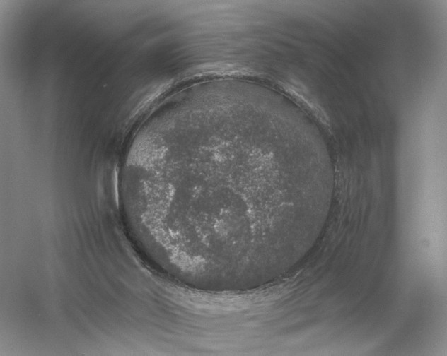 X0000056000014200509092058