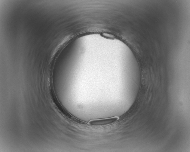 X0000056000015200509092058