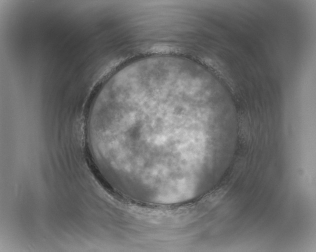 X0000056000016200509092058