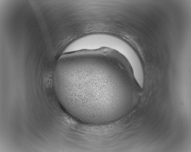 X0000056000017200509092058