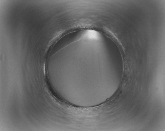 X0000056000019200509092058