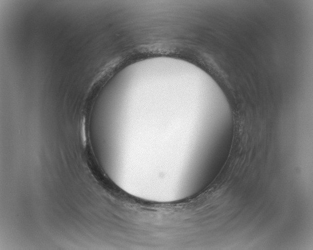 X0000056000020200509092057