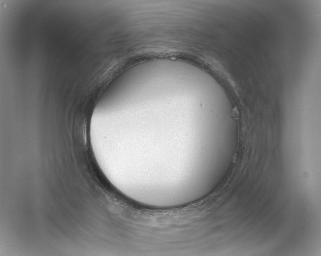 X0000056000021200509092057