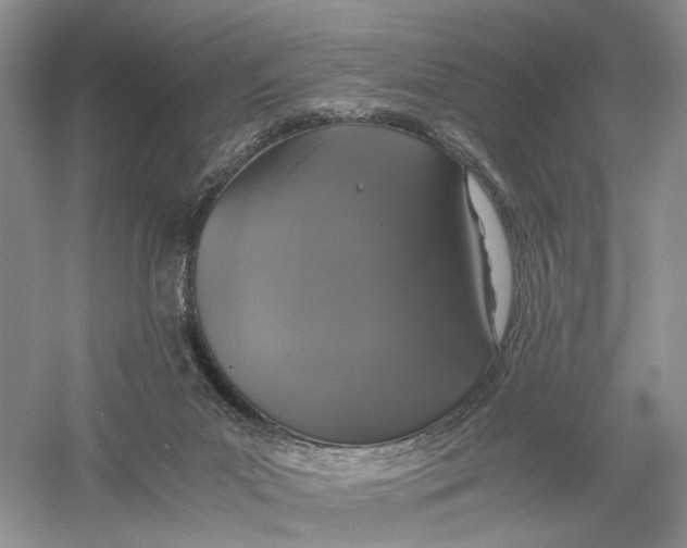 X0000056000023200509092057