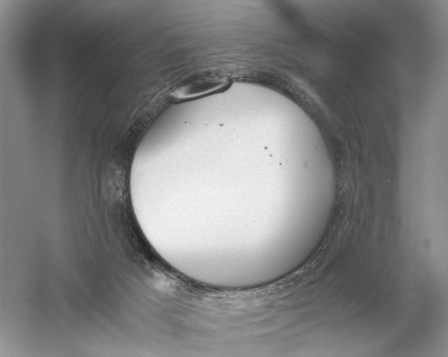 X0000056000025200509092057