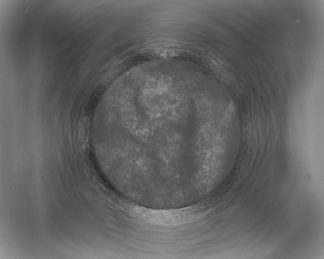 X0000056000030200509092057