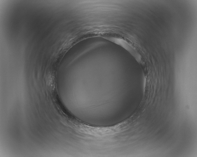 X0000056000031200509092057