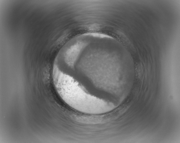 X0000056000032200509092057