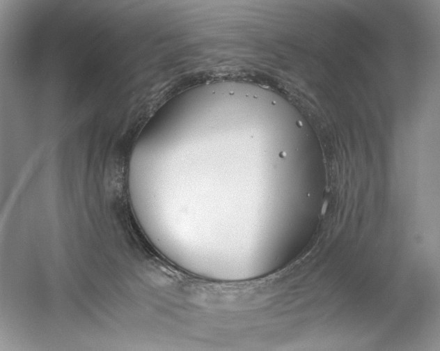 X0000056000033200509092057