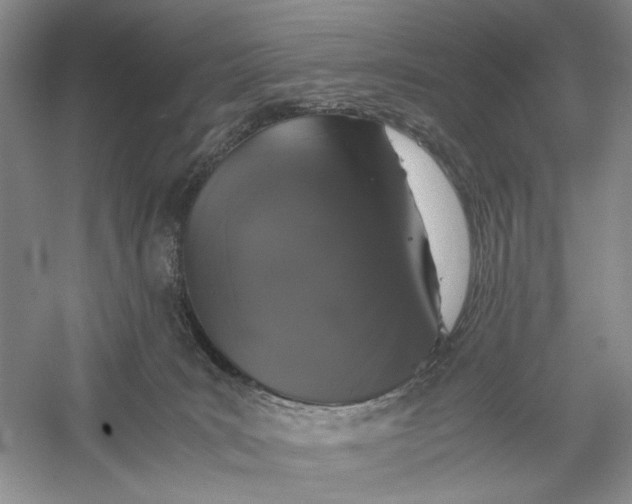 X0000056000035200509092057