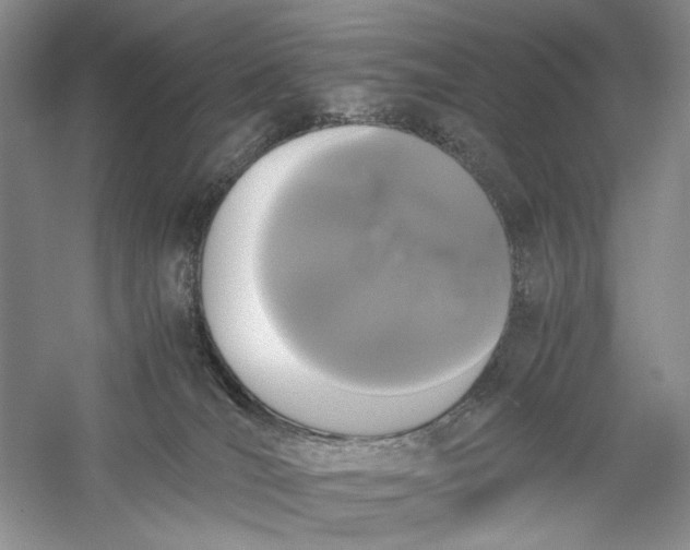 X0000056000036200509092057