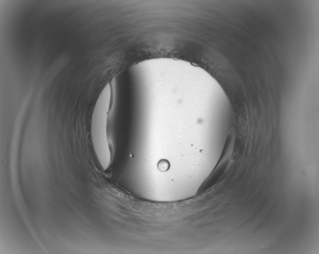 X0000056000037200509092057