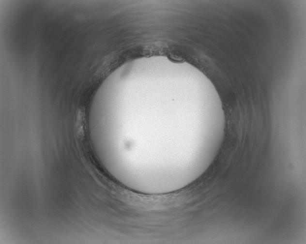 X0000056000038200509092057