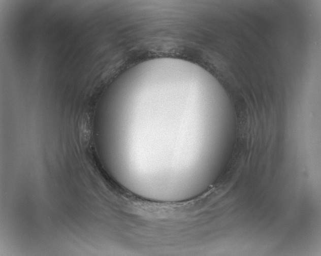 X0000056000040200509092057